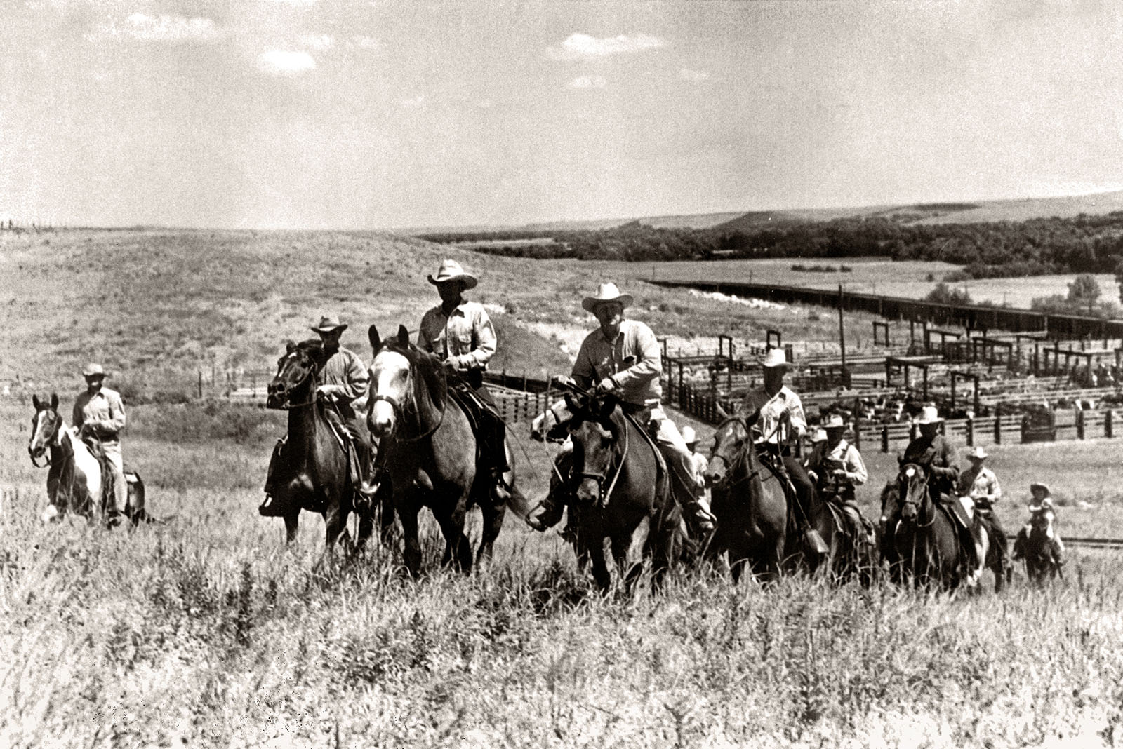Cowboys riding toward the camera in front of cattle pens