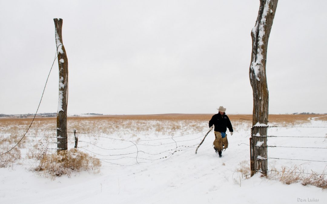 Winter Ranching
