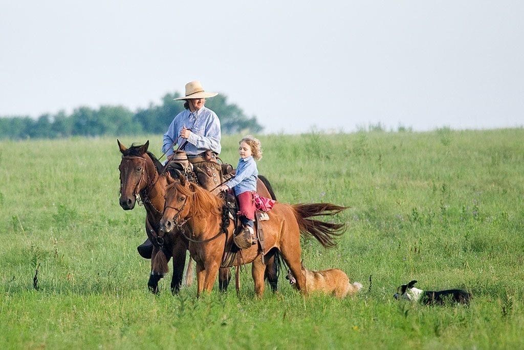 Cowgirl on horseback