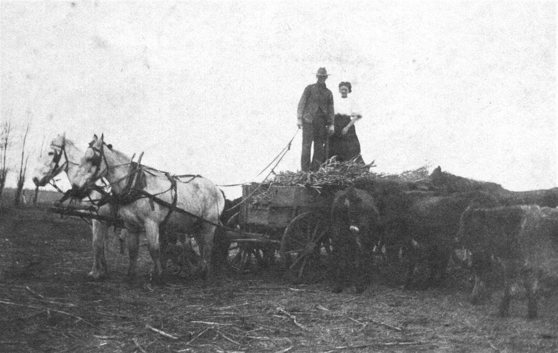 prairie-talk-the-patton-johnson-story-pioneer-bluffs