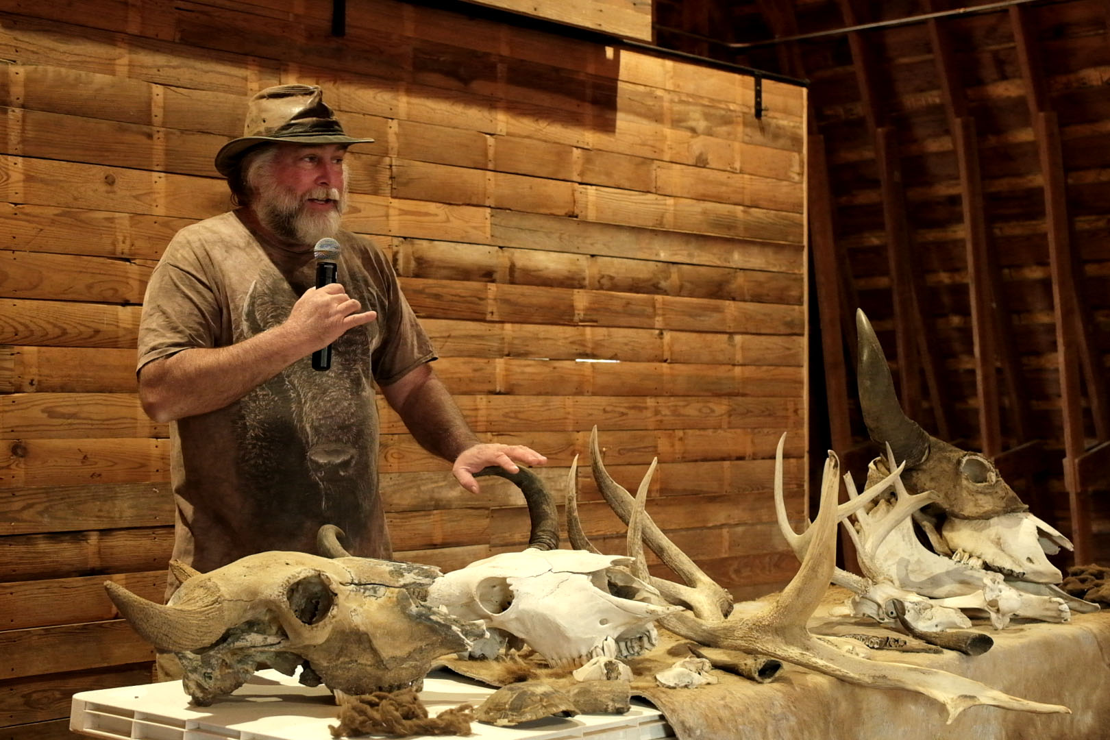 George LaRoux addressing audience near table with bison artifacts.