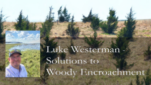 Solutions to Woody Encroachment