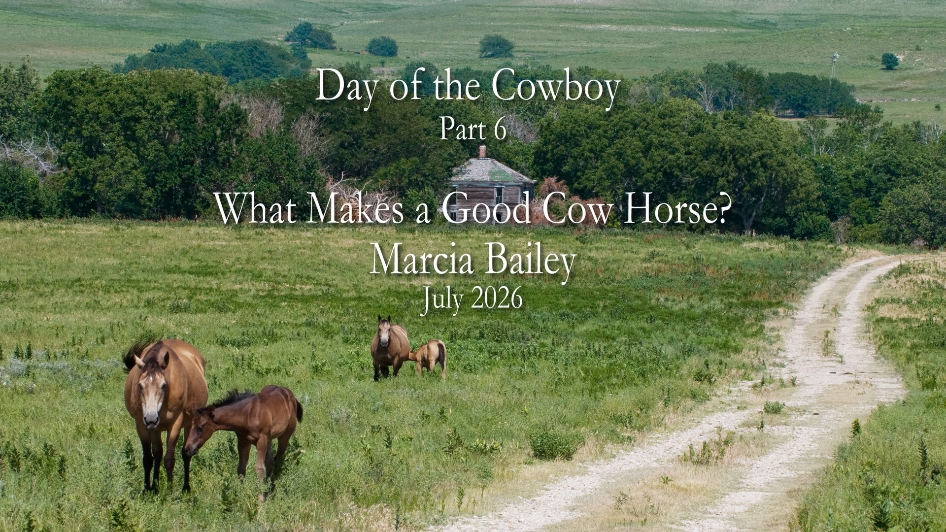 luke tb Marcia Bailey