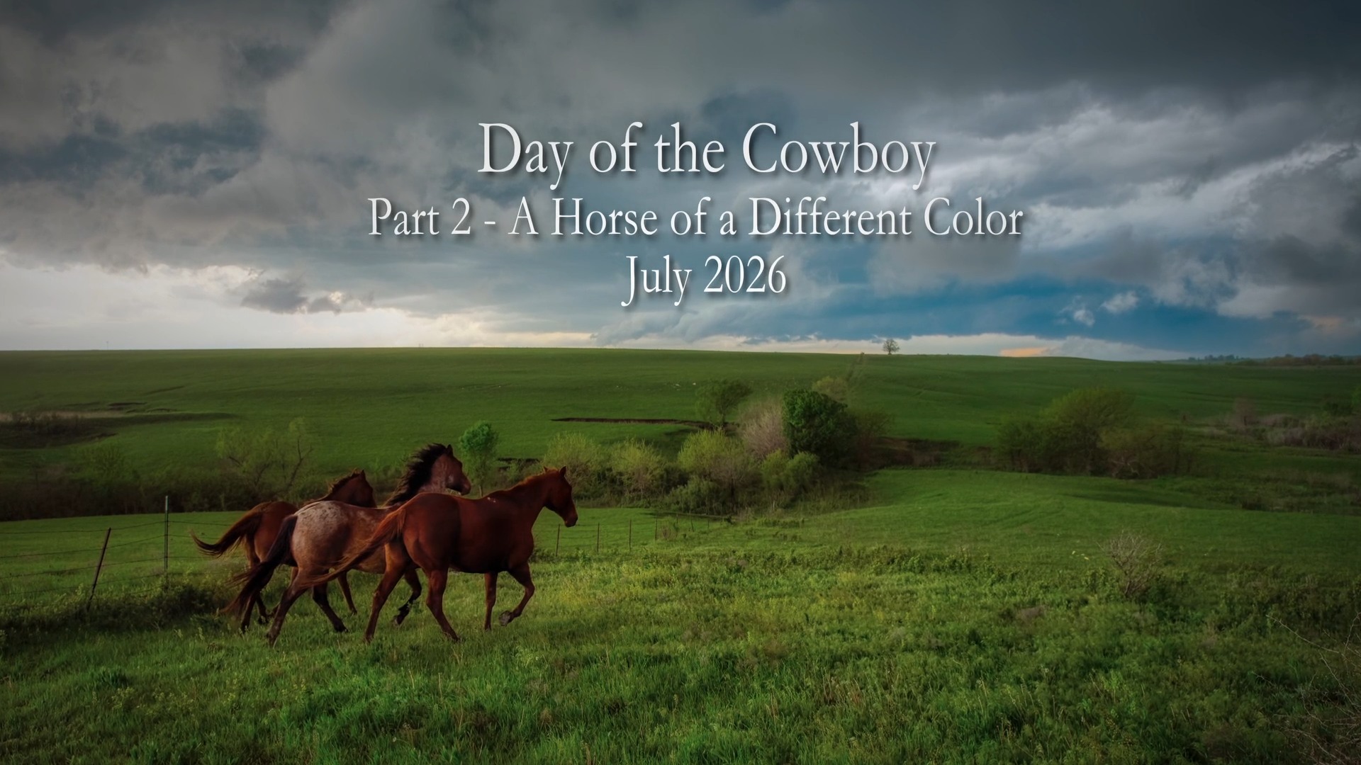 horse of a different color tb Horse of a different color