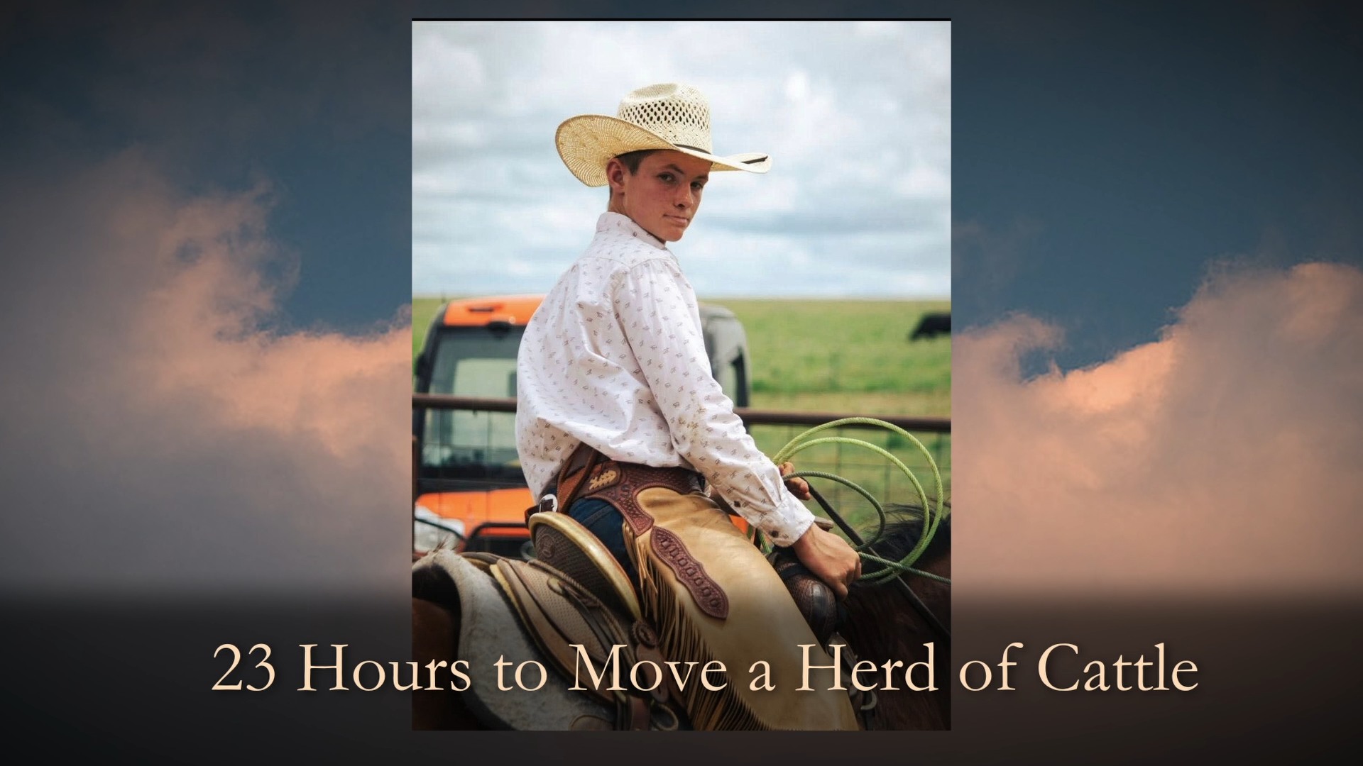 23 Hours to Move a Herd of Cattle