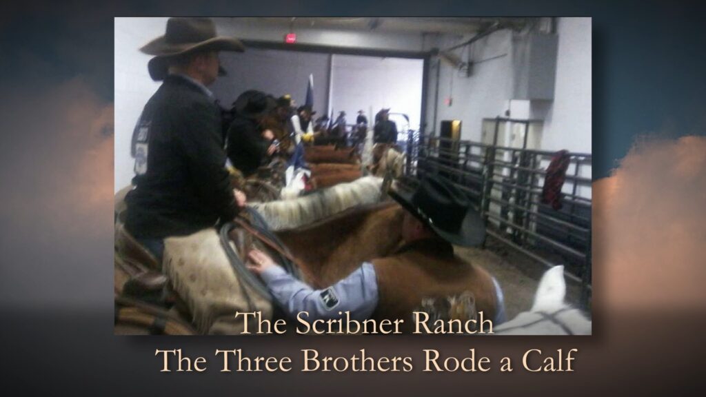 Three brothers ride a calf