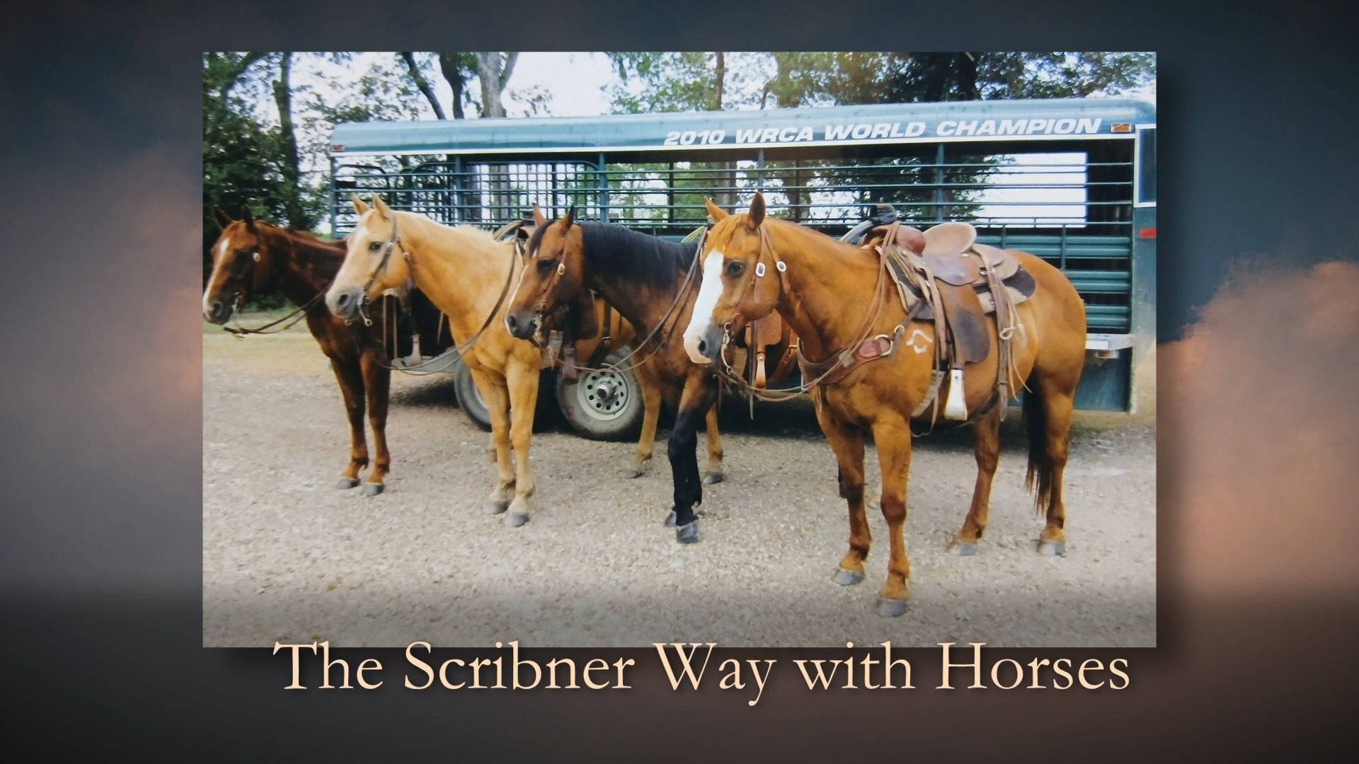 The Scribner Way With Horses