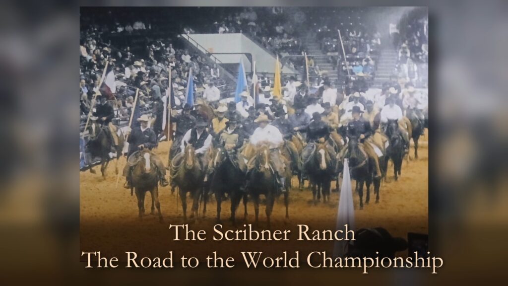 Road to the world championship