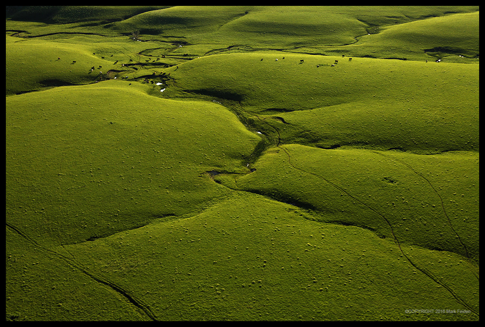 Blanketed Landscape by Mark Feiden